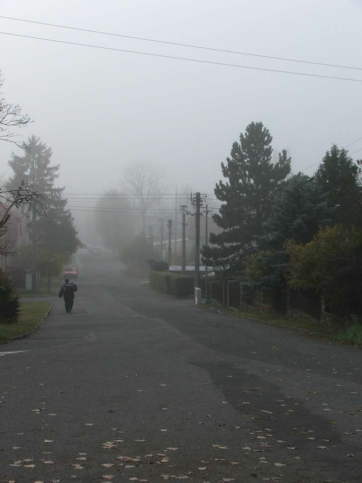 Soubor: lany014.jpg