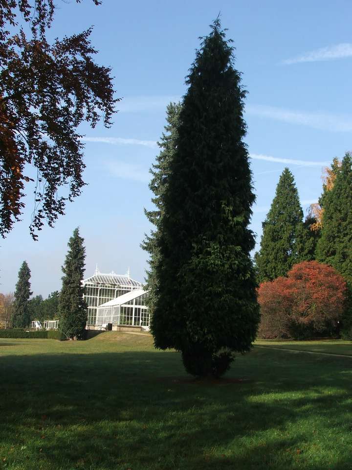 Soubor: lany036.jpg