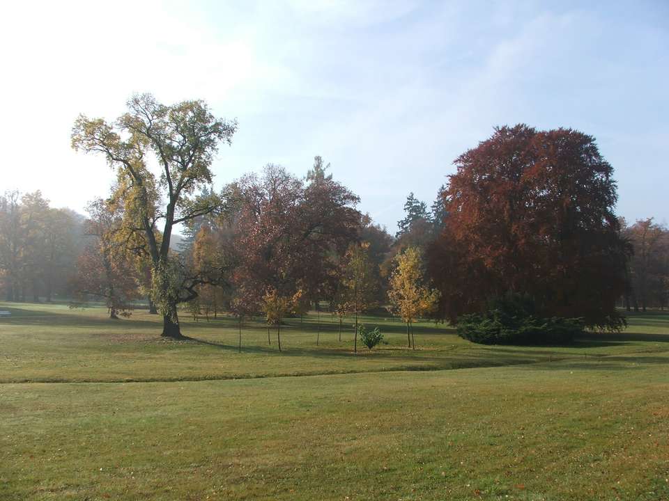 Soubor: lany037.jpg