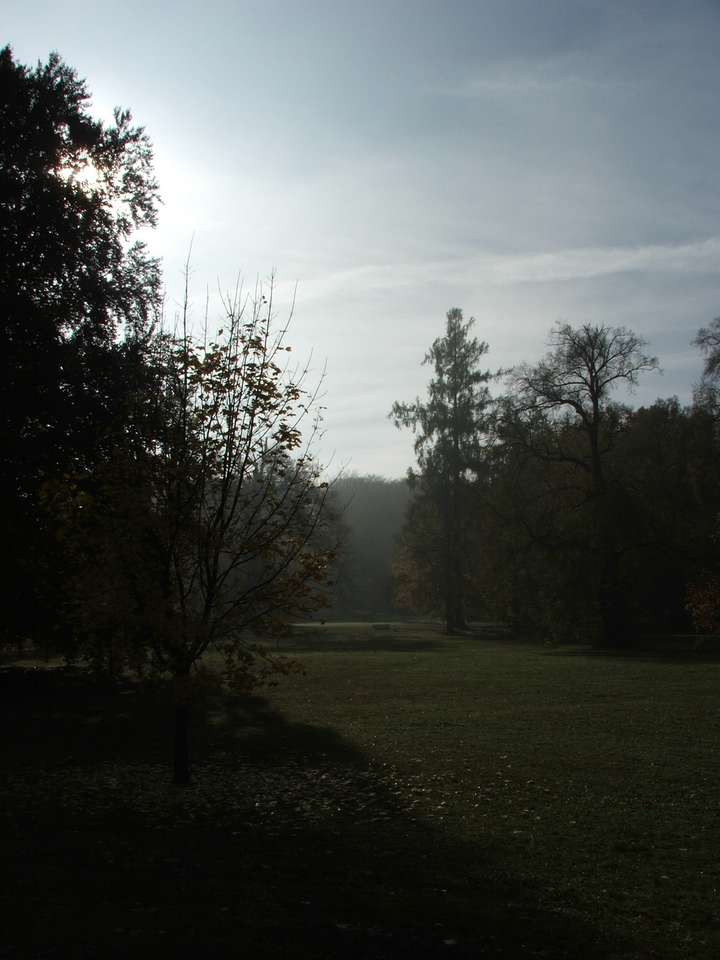 Soubor: lany049.jpg