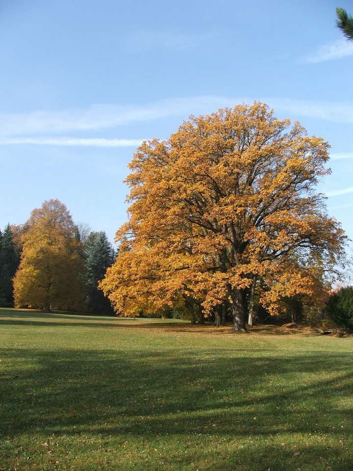 Soubor: lany057.jpg