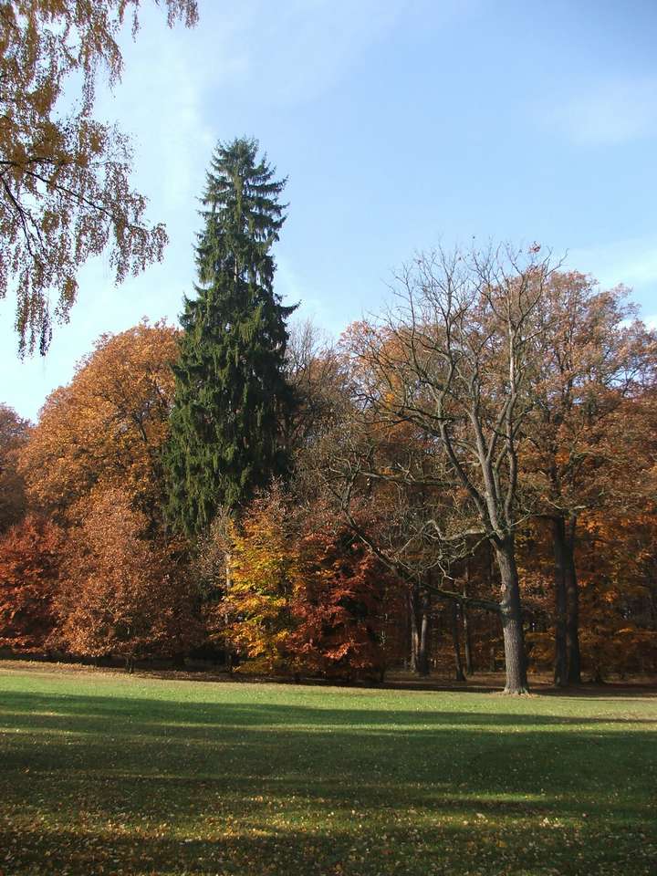 Soubor: lany066.jpg