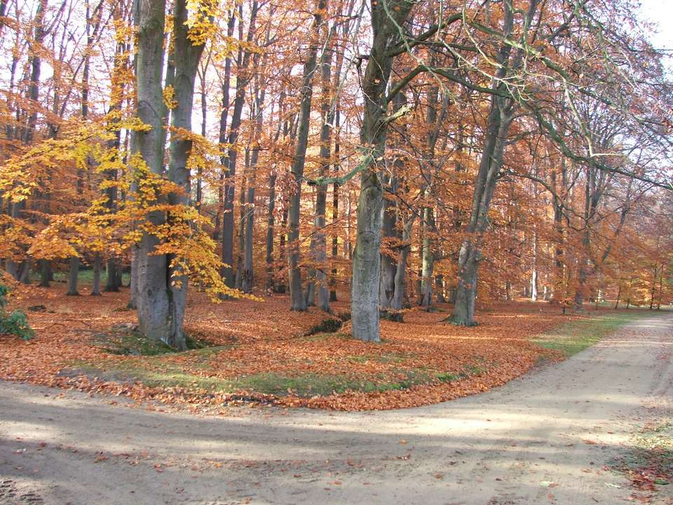Soubor: lany069.jpg