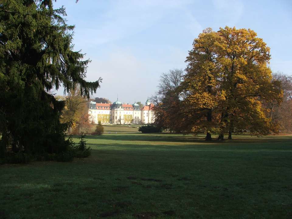 Soubor: lany073.jpg