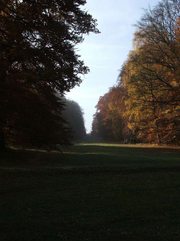 Soubor: lany077.jpg