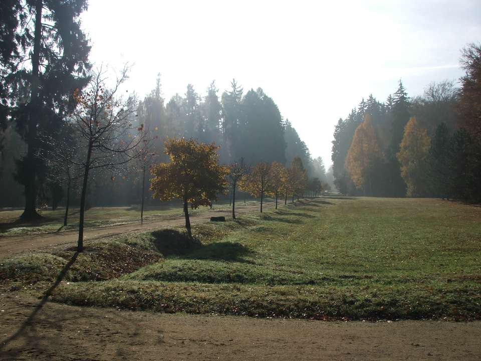 Soubor: lany085.jpg