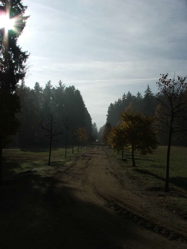 Soubor: lany086.jpg