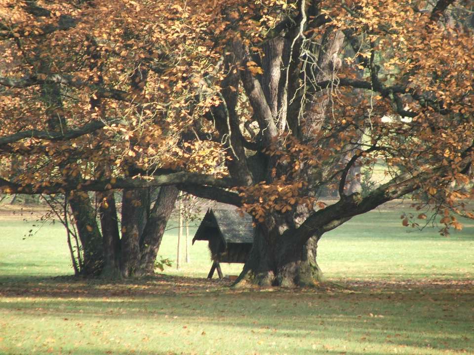 Soubor: lany088.jpg