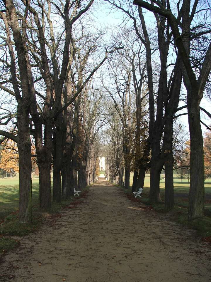 Soubor: lany089.jpg