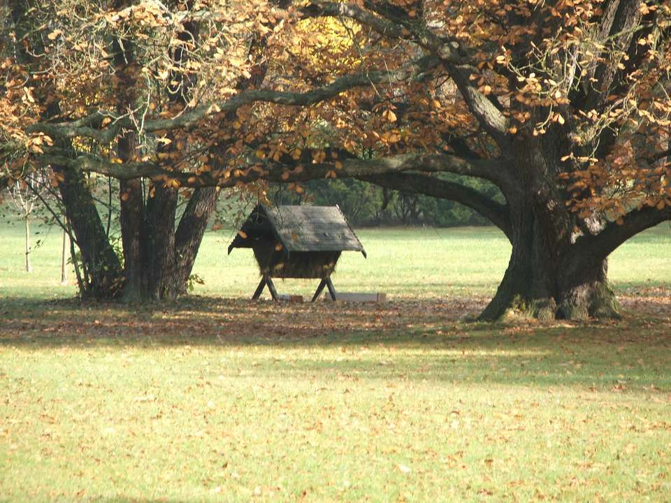 Soubor: lany091.jpg