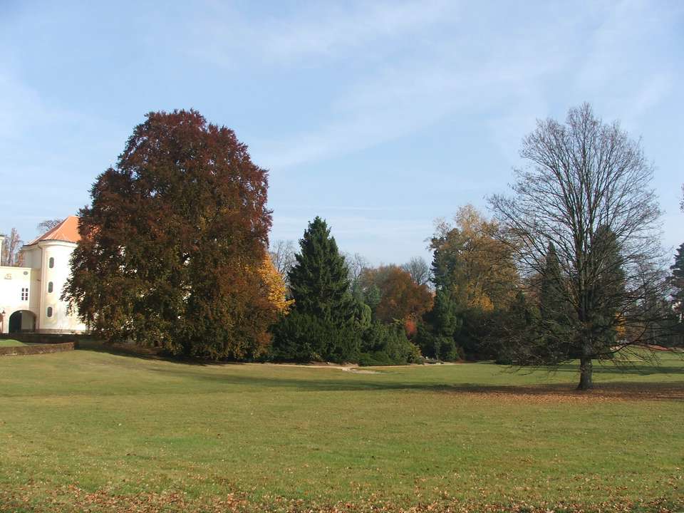 Soubor: lany099.jpg
