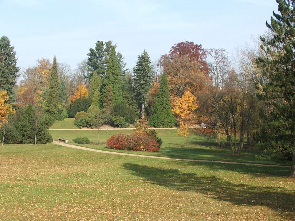 Soubor: lany108.jpg