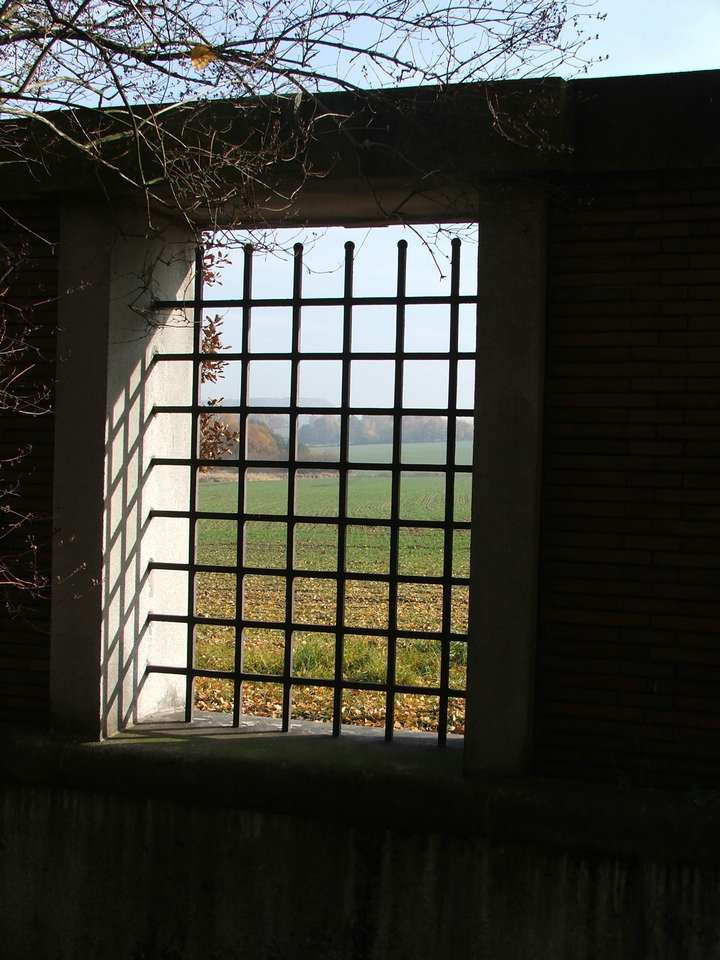 Soubor: lany136.jpg