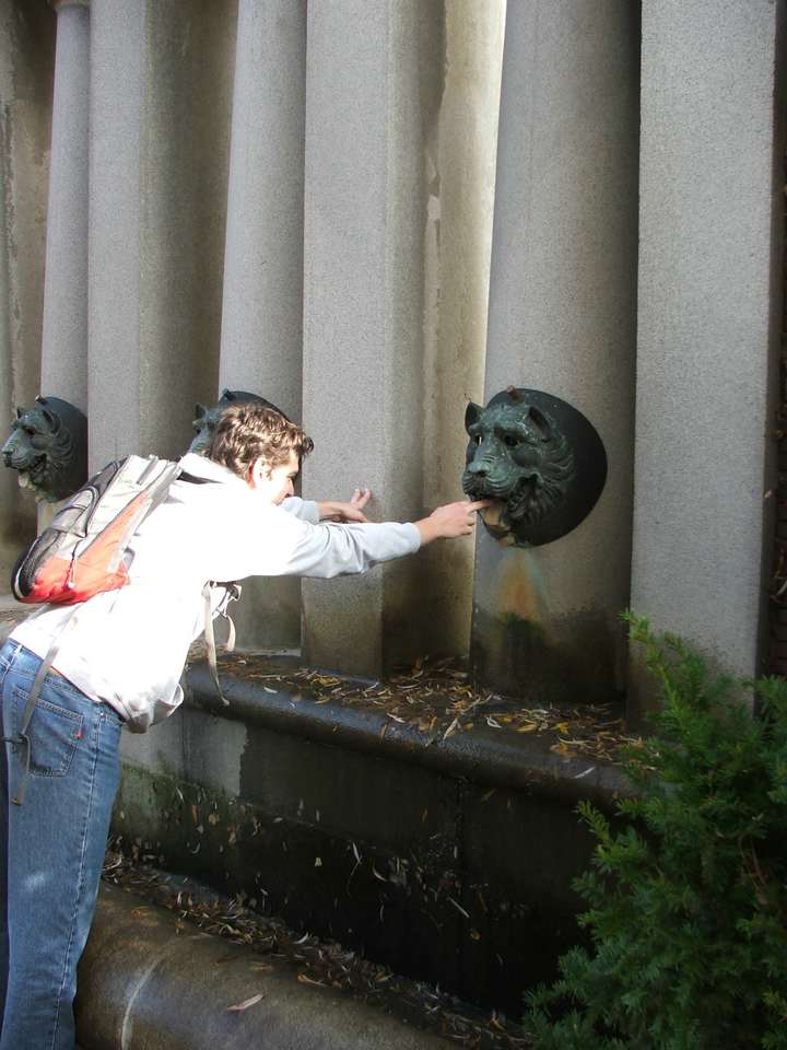 Soubor: lany142.jpg
