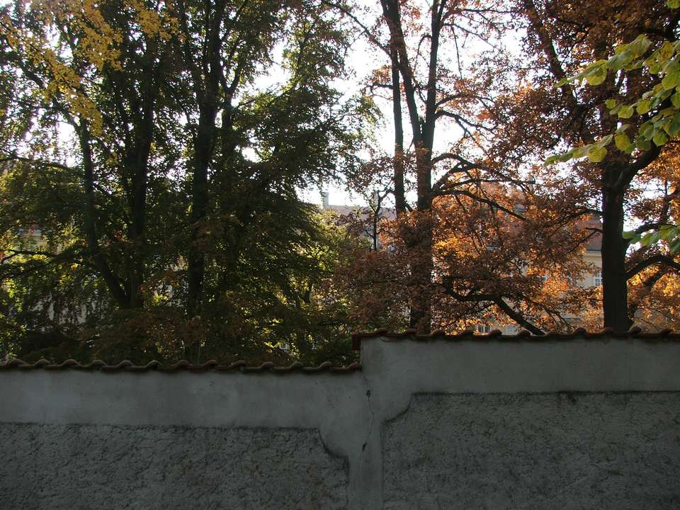 Soubor: lany187.jpg