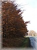 28. ��jen 2006