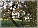 28. ��jen 2006