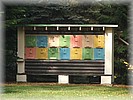28. ��jen 2006