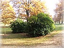 28. ��jen 2006