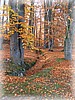 28. ��jen 2006