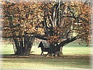 28. ��jen 2006
