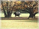 28. ��jen 2006