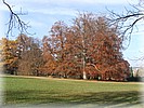28. ��jen 2006