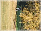 28. ��jen 2006