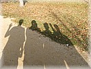 28. ��jen 2006