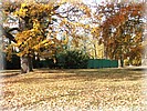 28. ��jen 2006