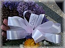 28. ��jen 2006