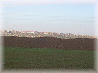 28. ��jen 2006
