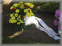 28. ��jen 2006
