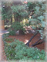 28. ��jen 2006