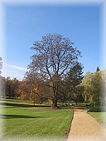 28. ��jen 2006