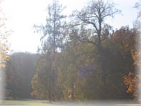 28. ��jen 2006