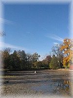 28. ��jen 2006