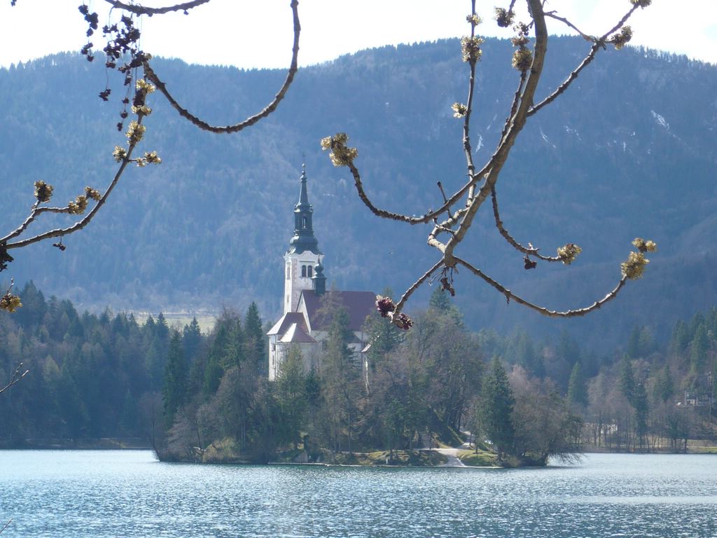Soubor: P1020058.JPG