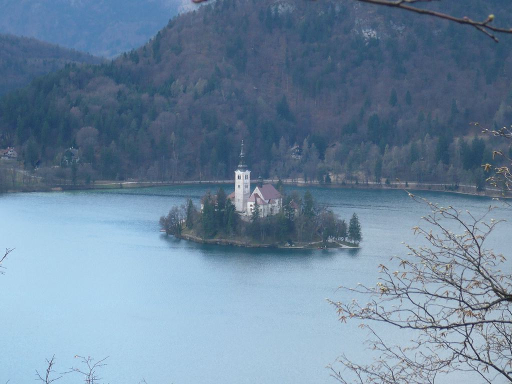 Soubor: P1020068.JPG