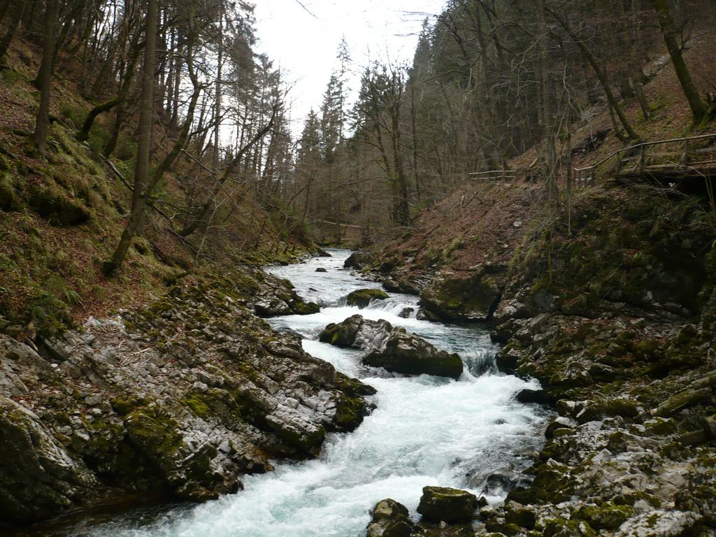 Soubor: P1020090.JPG