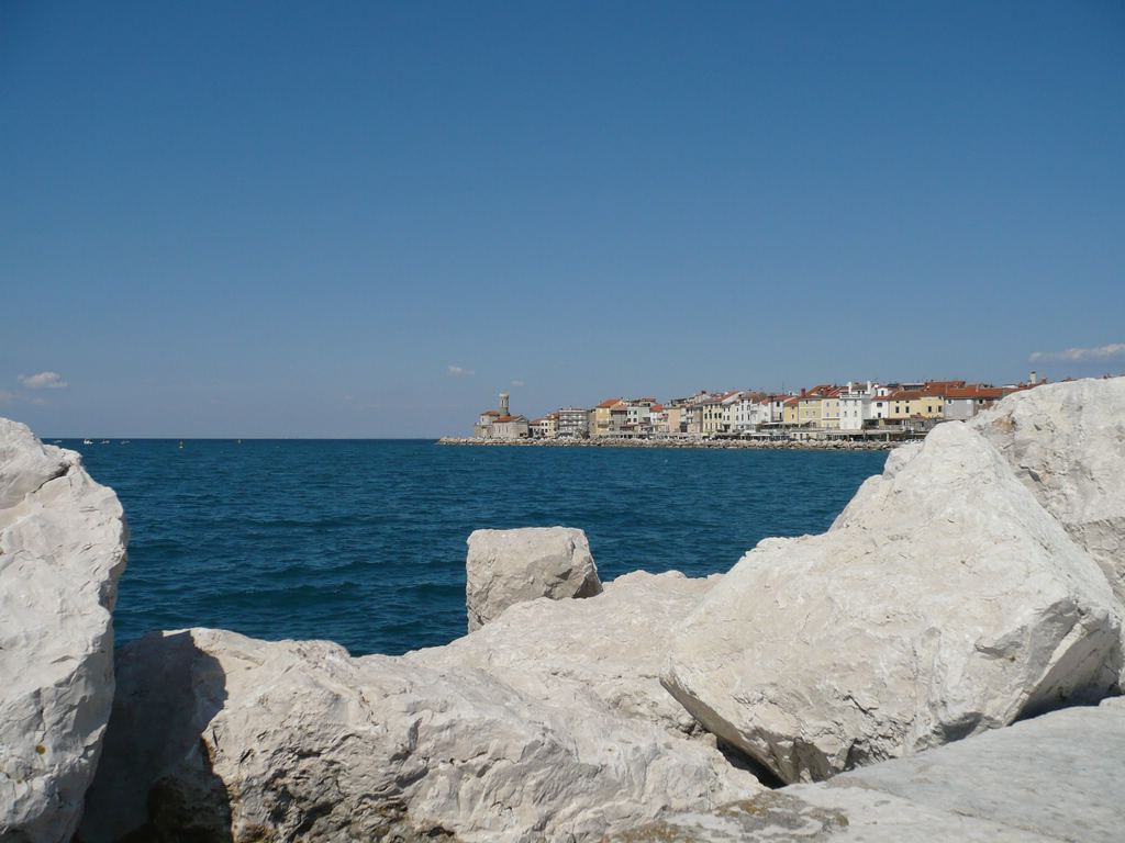 Soubor: P1020107.JPG