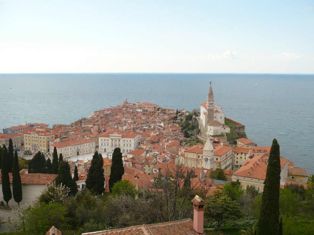 Soubor: P1020118.JPG