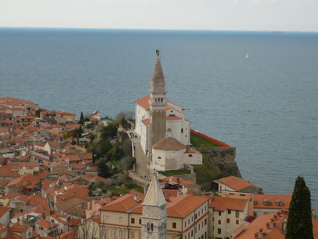 Soubor: P1020120.JPG