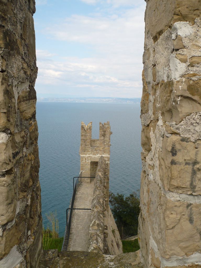 Soubor: P1020121.JPG