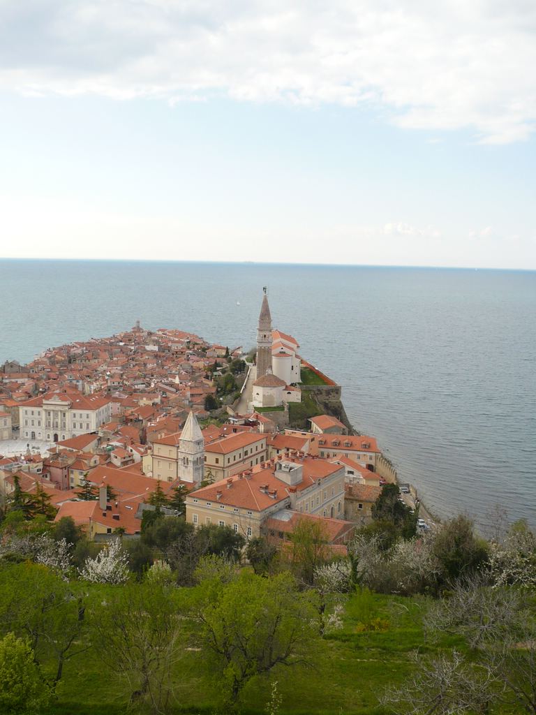 Soubor: P1020122.JPG