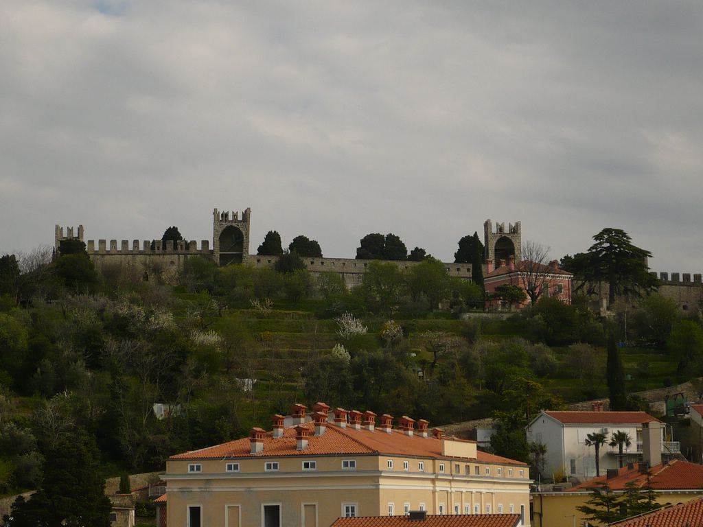 Soubor: P1020129.JPG