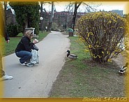 7. duben 2008