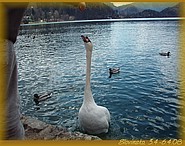 7. duben 2008