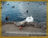 7. duben 2008