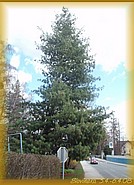 7. duben 2008